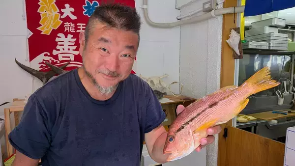 「イワシでもサンマでもない...糖尿病専門医が｢がん･動脈硬化を予防し､美肌を保つ栄養素をとれる魚の種類｣【最強の魚活術3選】」の画像