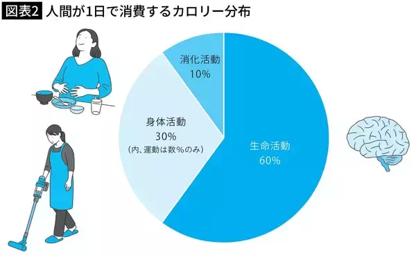 「毎日毎日運動しても｢5kg減量｣が限界…200万年前に人間に刻まれた｢ダラダラ生存戦略｣の正体」の画像