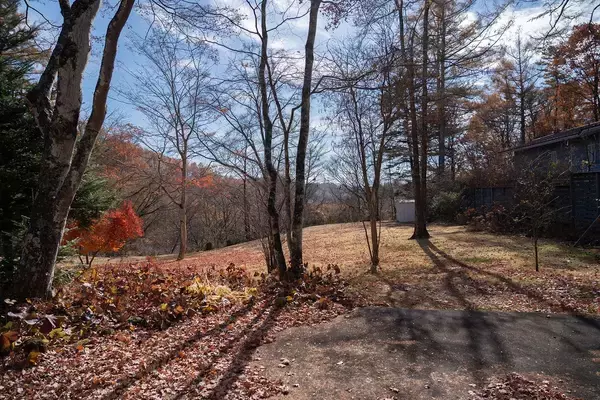 「三浦瑠麗｢車から降り立つたび､ひとりの人間に戻れる気がした｣仕事に忙殺される時も通い続けていた"聖域"」の画像