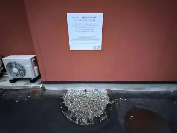 「朝ドラ｢ばけばけ｣とは全然違う…小泉八雲に｢借金まみれの家族｣の丸抱えを決めさせた"女中セツ"の献身」の画像