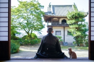 もし禅宗の僧侶が､余命一年を宣告されたら…動揺が去った後に真っ先に考えた｢残り365日の過ごし方｣