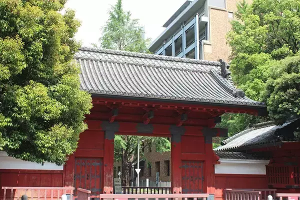 「あの無残な成績の子がまさか…W合格した東大理III+慶應医の試験会場で食べた心落ち着く｢ハイチュウ｣の味」の画像