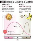 「ウォーキングは｢朝｣か｢夜｣どちらがいいのか…グッスリ眠れるだけでなく骨も丈夫になる時間帯」の画像5