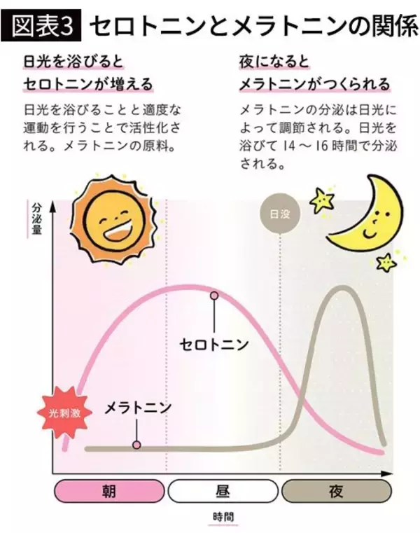 「ウォーキングは｢朝｣か｢夜｣どちらがいいのか…グッスリ眠れるだけでなく骨も丈夫になる時間帯」の画像