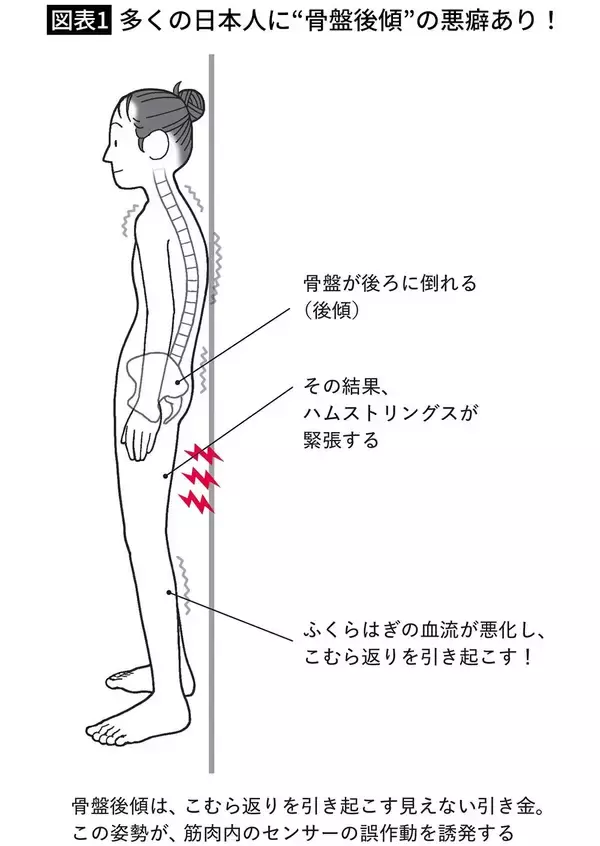 「1回10分･室内でもできる…整形外科医が｢姿勢も血流もよくなる｣と勧める"肋骨ウォーキング"の効果【2026年1月BEST】」の画像
