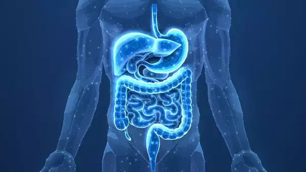 「座りっぱなしで腸はヨボヨボ化する…内科医直伝｢毎朝スッキリの人がしている"座ったままできる運動"｣」の画像