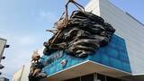 「入館者の目当てはシャチでもクジラでもない…東京から約1時間の地方都市にある｢日本唯一の水族館｣の正体【夏休みに行きたい3選】」の画像1