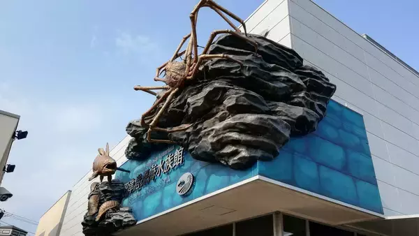 入館者の目当てはシャチでもクジラでもない…東京から約1時間の地方都市にある｢日本唯一の水族館｣の正体【夏休みに行きたい3選】