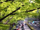 「｢一流のお金持ち｣はフェラーリには乗っていない…"本物"を知る富裕層が行きつく"究極のクルマ"の正体【2026年6月BEST】」の画像1