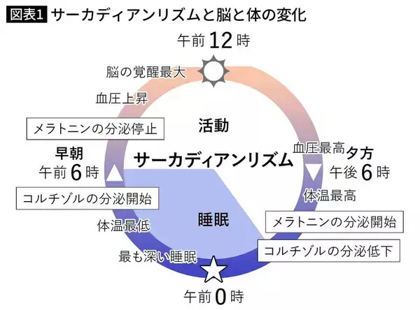 「｢8時間以上寝ればOK｣ではない…脳内科医が断言する｢たまった疲れを翌日に持ち越さない｣就寝デッドライン」の画像