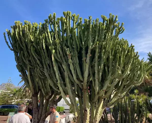 「人生の目標は｢何かを成し遂げること｣ではない…50代女性がコンビニのない街で見つけた人生の本当の意味」の画像