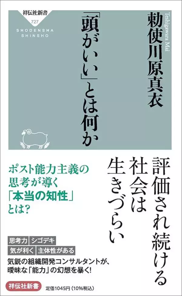 「こんな人いるのか…｢実務力に加えて主体性と同時に協調性｣国が描く"シゴデキさん"の｢重すぎる要件｣」の画像