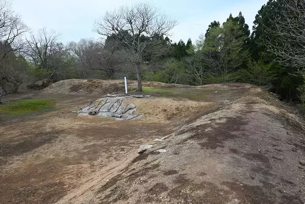 「｢柴田勝家=頑固な古武士｣は間違っている…秀吉との賤ヶ岳前に築いた｢山城｣を見るとわかる猛将の意外な一面」の画像