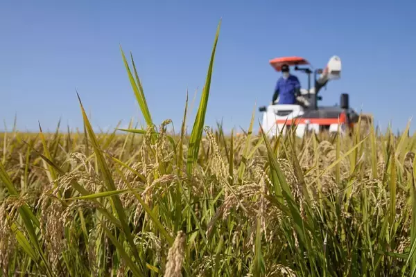 「家計を助けるどころかJAが得するだけ…高市政権の｢おこめ券｣が税金4000億円のムダ遣いに終わる理由」の画像