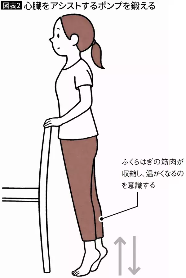 「テレビを見ながら5分やるだけでいい…東北大名誉教授が｢ウォーキングより筋肉がつく｣と断言する室内運動」の画像