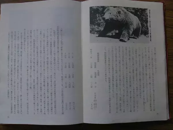 「24歳男性の｢体の半分｣はクマの胃袋の中に…80年間の新聞を分析して判明｢冬眠しないクマ｣の凶暴すぎる実態」の画像