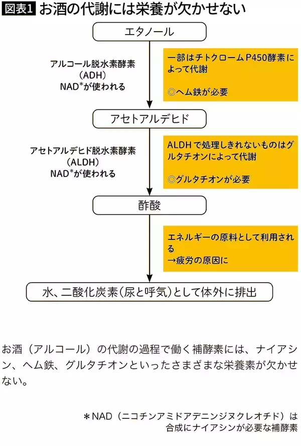 「"やせの大酒飲み"は危険すぎる…医師｢お酒で人が太る"糖質でもカロリーでもない"意外な理由｣」の画像