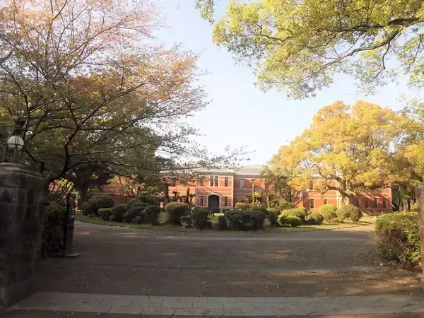 「｢熊本はもっとも面白くない都市｣と嘆いたのに…｢ばけばけ｣小泉八雲が"魂が生きている"と震えた瞬間」の画像