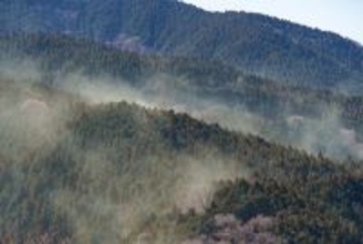 もっとも大事なのは飲み薬でも目薬でもない…耳鼻科専門医が｢真っ先に試して｣という最強の花粉症対策