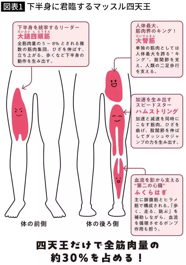 「健康寿命が長い人は圧倒的にここが強い…90歳でイキイキな人と、60歳でヨボヨボな人で決定的に違う体の部位【2025年12月BEST】」の画像