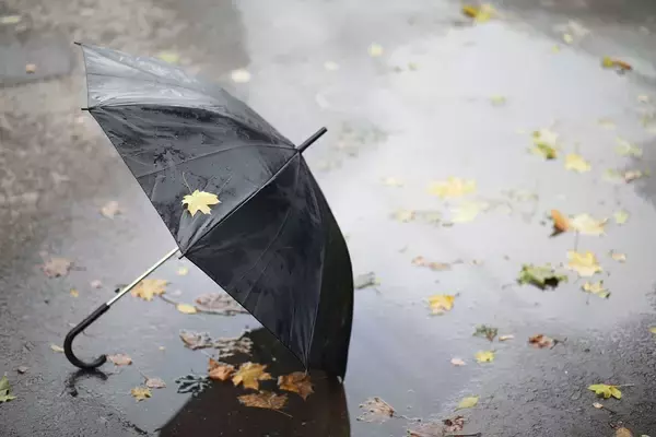 「死んだふりで｢片目､片手､片足になりました｣…80年間の新聞を分析して判明｢人食いグマ｣から生き延びる方法」の画像