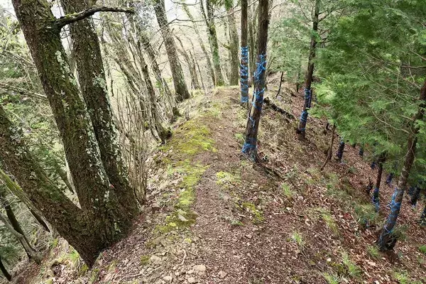 「信長はリベンジ戦"姉川"前に浅井長政に勝っていた…小谷城でも横山城でもない勝敗を分けた難攻不落の城」の画像