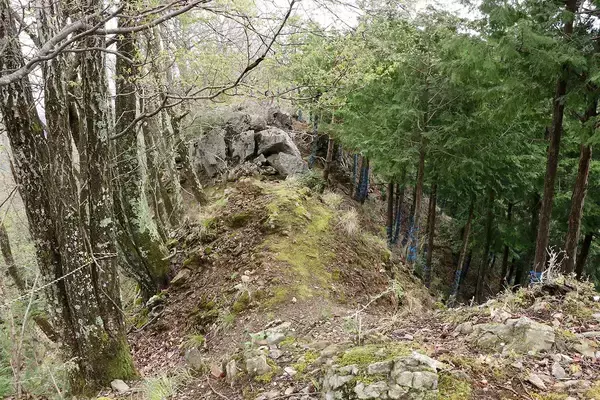 「信長はリベンジ戦"姉川"前に浅井長政に勝っていた…小谷城でも横山城でもない勝敗を分けた難攻不落の城」の画像