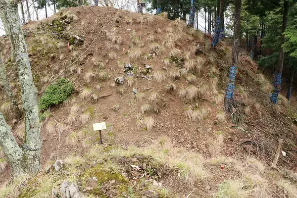 「信長はリベンジ戦"姉川"前に浅井長政に勝っていた…小谷城でも横山城でもない勝敗を分けた難攻不落の城」の画像