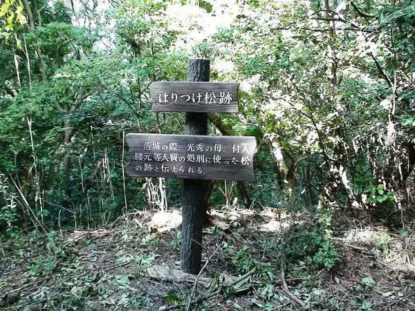 「豊臣秀吉でも､秀長でもない…比叡山を焼き払い､織田家の出世頭になった"中途採用のよそ者武将"の名前」の画像