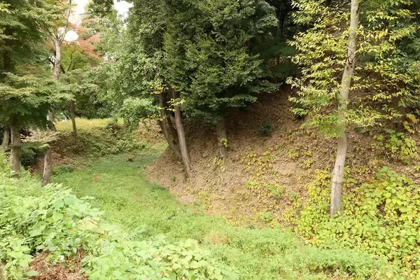 「やはり信長は軍略の天才だった…犬山城攻めで尾張を統一する際｢あえて木曽川を越え敵地に乗り込んだ｣ワケ」の画像