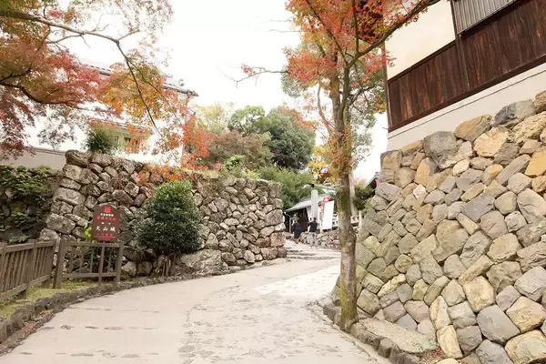 「やはり信長は軍略の天才だった…犬山城攻めで尾張を統一する際｢あえて木曽川を越え敵地に乗り込んだ｣ワケ」の画像