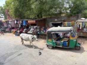 1日100トンの牛糞をバイオガスに…原油急騰のインドに軽自動車の神･鈴木修が残したとんでもない置き土産