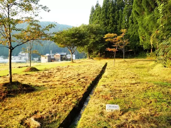 「織田信長に逆らうほうがマシ…｢豊臣兄弟!｣で描けない､戦国武将･朝倉義景が上洛命令を拒み続けた本当の理由」の画像