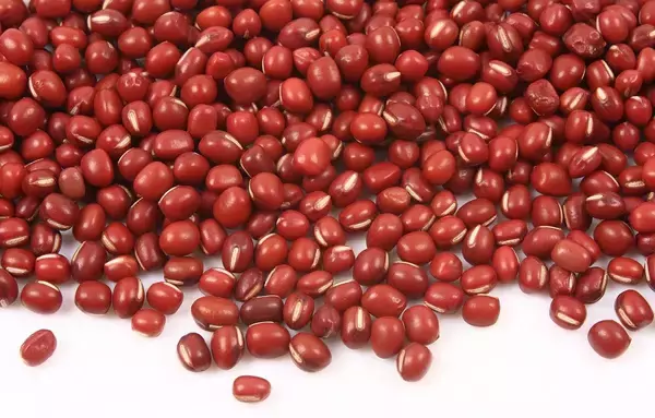 最期まで兄･織田信長の"操り人形"だったけれど…悲劇のヒロイン･お市が｢唯一自分で下した｣史料に残る決断