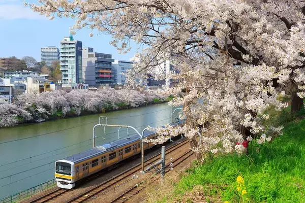 ｢三軒茶屋や武蔵小山でも家賃6万円台は探せる｣東京近郊で1人暮らしなら知っておきたい"住人評価が高い路線"