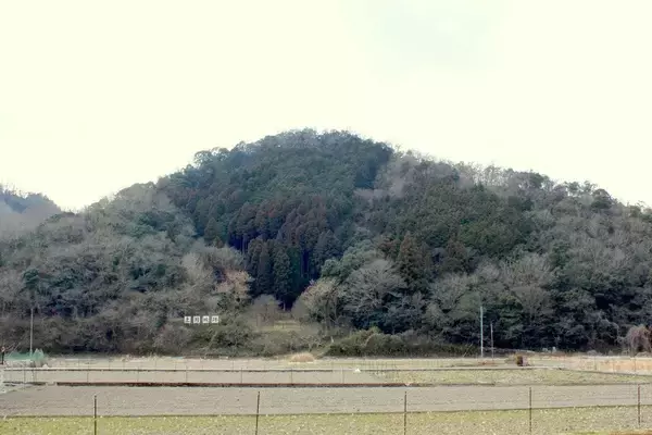 「非戦闘員の女子供まで"はりつけ刑"に…秀吉が上月城で奮闘する尼子勝久を見捨てるしかなくなった致命的ミス」の画像