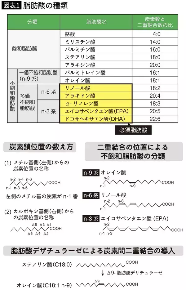 「不足すると｢うつ病｣が増え､子どものIQに影響…東大教授｢脳のために欠かせないスーパーにある食材｣」の画像