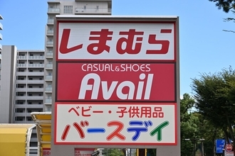 そりゃ地方ロードサイドで勝ち抜けるワケだ…しまむらを｢埼玉の衣料品チェーン｣から成長させた意外な立役者