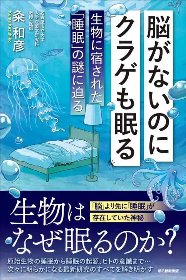 「睡眠は｢脳を休めるため｣だけではなかった…脳がないクラゲが睡眠不足になったときに起きる症状」の画像