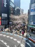 「三島由紀夫は｢胸毛をください｣という冗談に笑顔で返した…渋谷の｢大盛堂書店｣3代目だけが知る天才作家の素顔」の画像4
