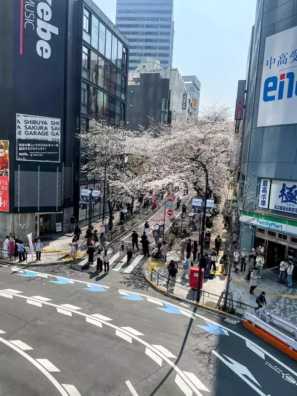 「三島由紀夫は｢胸毛をください｣という冗談に笑顔で返した…渋谷の｢大盛堂書店｣3代目だけが知る天才作家の素顔」の画像