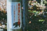 「犯人はクマ以外の人喰い生物だった…東京･奥多摩で発見された｢頭と手足がむしり取られた変死体｣の謎を解く」の画像2
