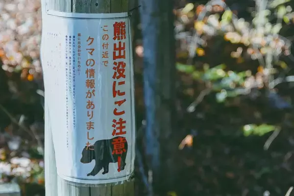 「犯人はクマ以外の人喰い生物だった…東京･奥多摩で発見された｢頭と手足がむしり取られた変死体｣の謎を解く」の画像