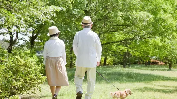「｢転倒→骨折→寝たきり｣の老後が待ち受ける…医師･和田秀樹｢60代になったら真っ先に断捨離すべきもの｣【定年後の黄金期3選】」の画像