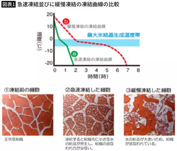 「味も栄養も"手作り"より格上…｢子どものお弁当こそ冷凍食品がいい｣と断言する専門家が作る3分弁当の中身」の画像