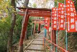 「だから松永久秀は"名物"平蜘蛛の茶釜と共に自爆した…｢勝てるはずだった｣信長への謀反で生じた"唯一の誤算"」の画像4