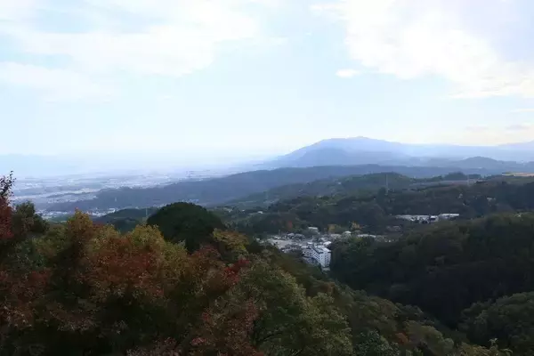 「だから松永久秀は"名物"平蜘蛛の茶釜と共に自爆した…｢勝てるはずだった｣信長への謀反で生じた"唯一の誤算"」の画像
