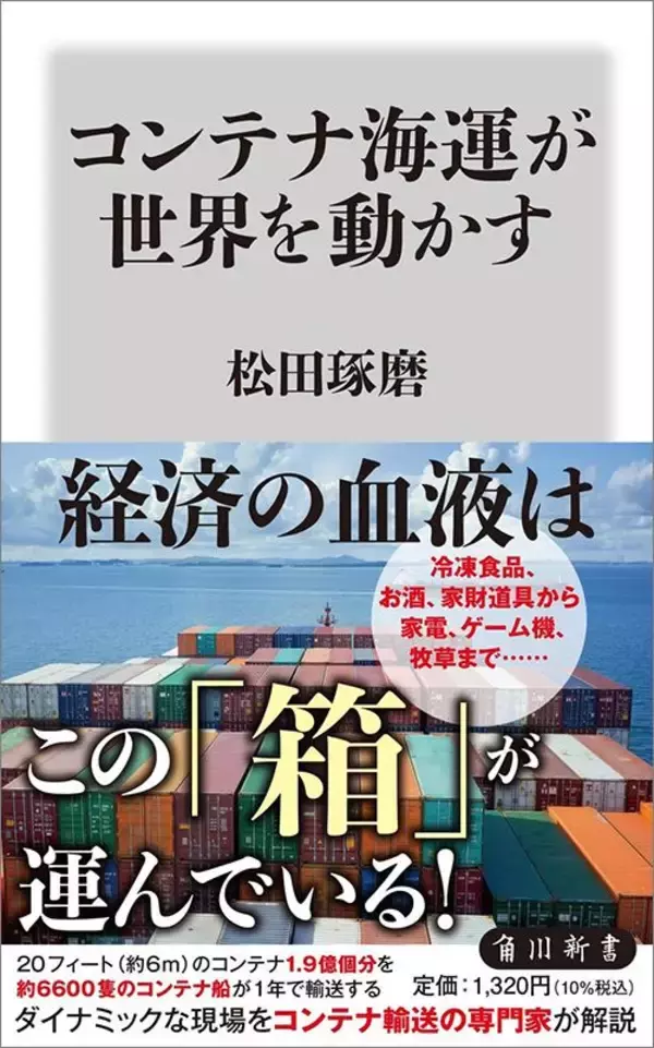 「ホルムズ海峡"開放"でも原油危機は暫く続く…いまだ見通し不明のスエズ運河でわかる通行再開の高いハードル」の画像