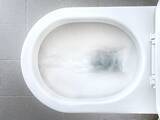 「地頭のいい子の親がGWに子供に投げる問い…Q 100歳の人の人生総うんち量､Q 1人1年で出す量はスイカ何個分?」の画像1
