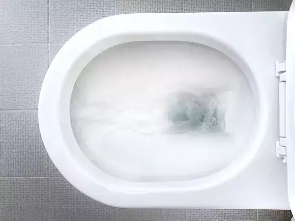 地頭のいい子の親がGWに子供に投げる問い…Q 100歳の人の人生総うんち量､Q 1人1年で出す量はスイカ何個分?
